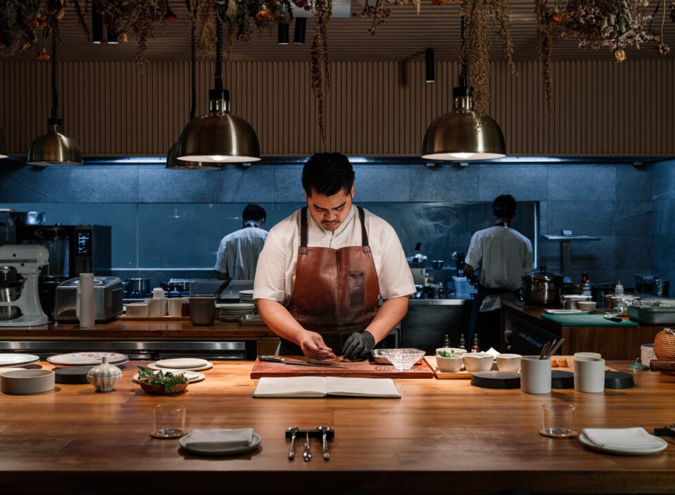 02_11_esa_visual-plating_Website-980x719