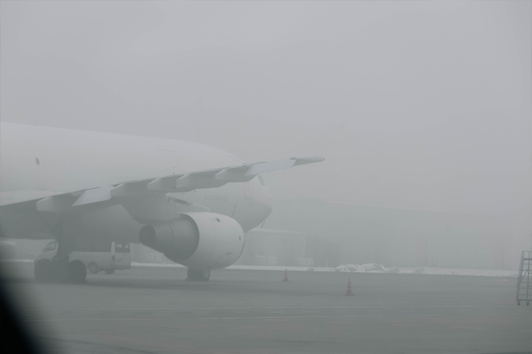 416472_w_h500_1766405784_r