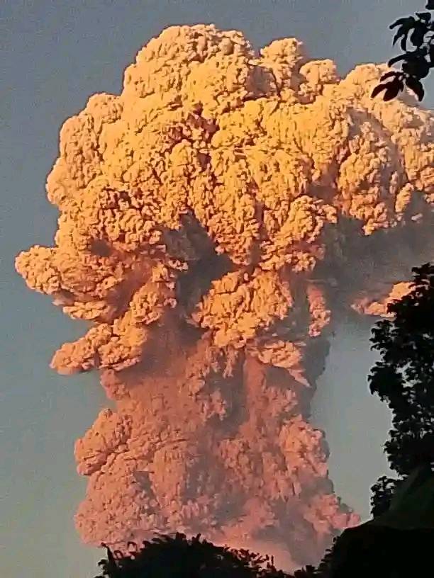 GunungLewotobiMeletus